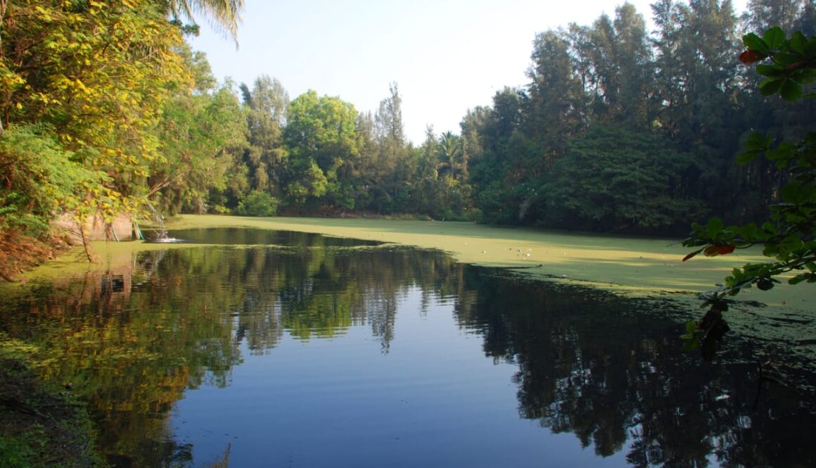 College Campus